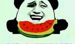 娱乐吃瓜酱花式要钱,花式敛财，揭秘明星圈钱的秘密手段