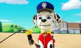 小汪汪吃瓜娱乐说,揭秘娱乐圈幕后故事