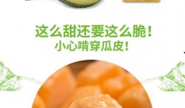 娱乐吃瓜营销号推荐