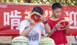 扎西枫丹娱乐吃瓜作品,揭秘娱乐圈背后的“吃瓜”故事