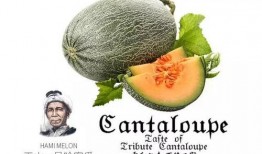 娱乐吃瓜营销号推荐