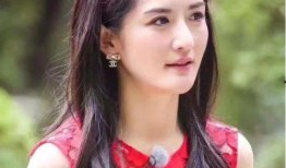 娱乐吃瓜姐谢娜是谁呀,娱乐界的“吃瓜姐”传奇人生