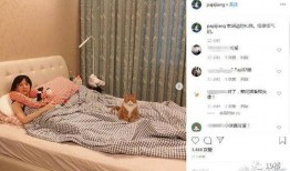 娱乐吃瓜酱怀孕,娱乐圈再掀怀孕热潮