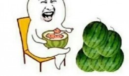 娱乐圈吃瓜酱青蛙