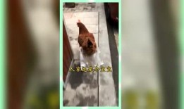 吃瓜群众的娱乐网名,揭秘吃瓜群众的娱乐网名背后的故事