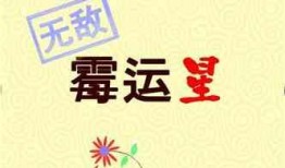 娱乐吃瓜求婚小说推荐知乎,小说中的甜蜜惊喜揭秘