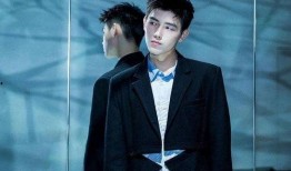 娱乐圈吃瓜元素表陈飞宇,娱乐圈吃瓜达人，揭秘明星幕后故事