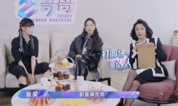 娱乐吃瓜酱去面试,揭秘面试背后的精彩故事