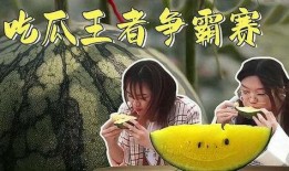 娱乐吃瓜酱最心酸的话,心酸独白，揭秘娱乐圈背后的辛酸泪