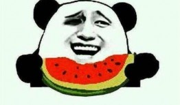 刘二豆娱乐吃瓜君,揭秘娱乐圈幕后故事