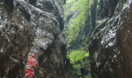 娱乐718吃瓜第一线天