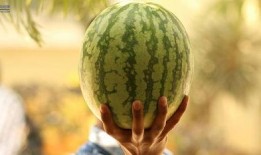 小娱乐吃瓜,揭秘娱乐圈那些不为人知的幕后故事