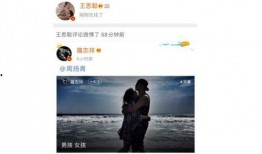 娱乐吃瓜酱王思聪