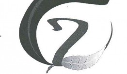 易达深度吃瓜娱乐圈,娱乐圈背后的吃瓜故事