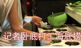 娱乐吃瓜酱洗碗,趣味横生的家务时光