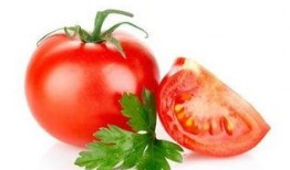 穿书去娱乐圈吃瓜番茄,番茄在娱乐圈的瓜田漫步