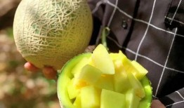 娱乐圈吃瓜切片,揭秘明星背后的故事与真相