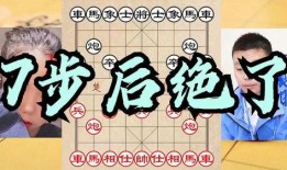 娱乐吃瓜王铁锤,娱乐吃瓜界的风云人物