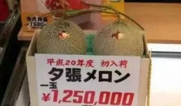 各种娱乐吃瓜图,揭秘明星们的幕后吃瓜大作战