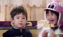 娱乐吃瓜星人,揭秘明星们的“吃瓜”生活