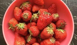 娱乐吃瓜君 草莓果酱