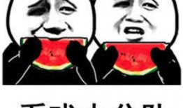 娱乐吃瓜酱见多了同行,吃瓜酱眼中的同行众生相