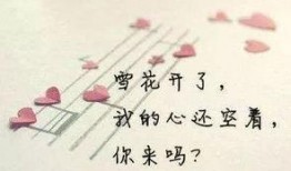 娱乐吃瓜酱伤感语录短句