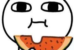 沙雕吃瓜系统娱乐圈小说,沙雕吃瓜系统，带你笑看风云变幻